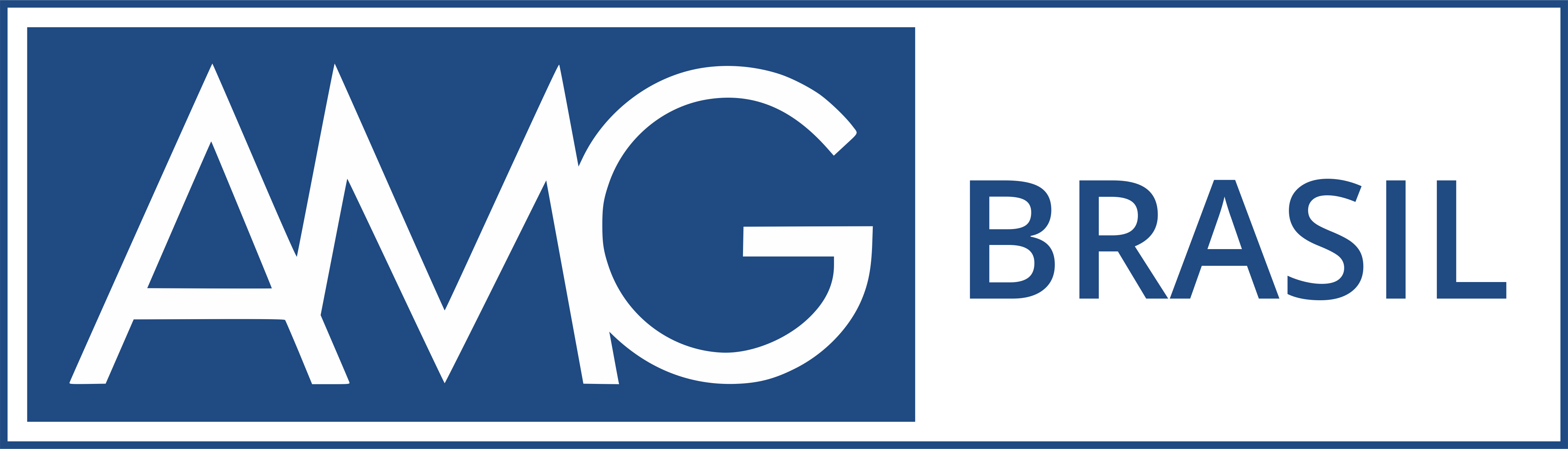 AMG Brasil